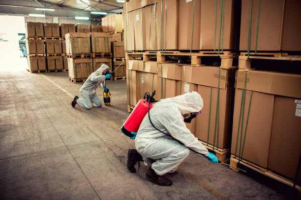 Best Pest Prevention Services  in Ham Lake, MN