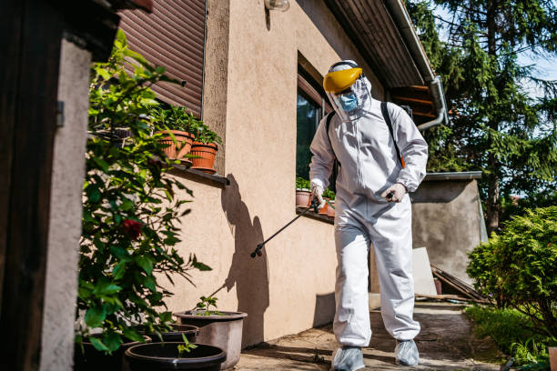 Best Pest Control Near Me  in Ham Lake, MN