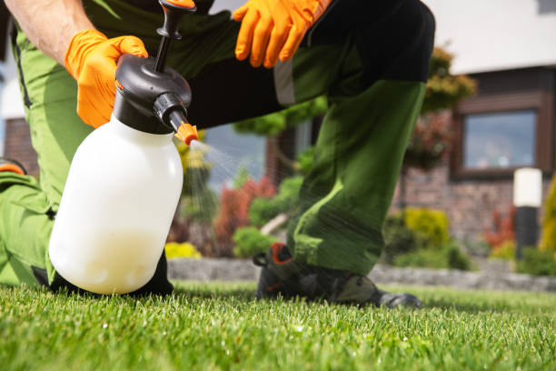 Best Pest Control for Businesses  in Ham Lake, MN