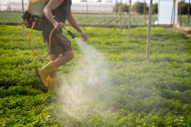 Best Affordable Pest Control Services  in Ham Lake, MN