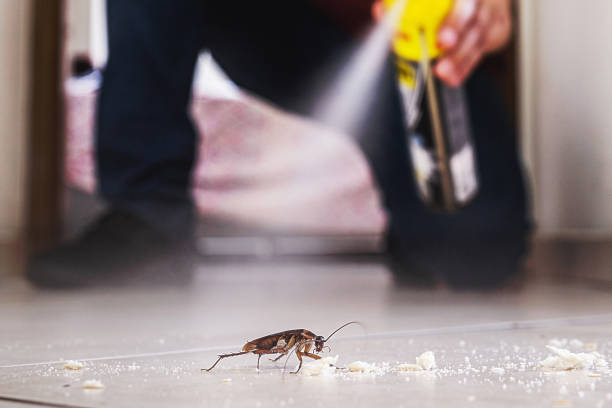 Best Pest Prevention Services  in Ham Lake, MN